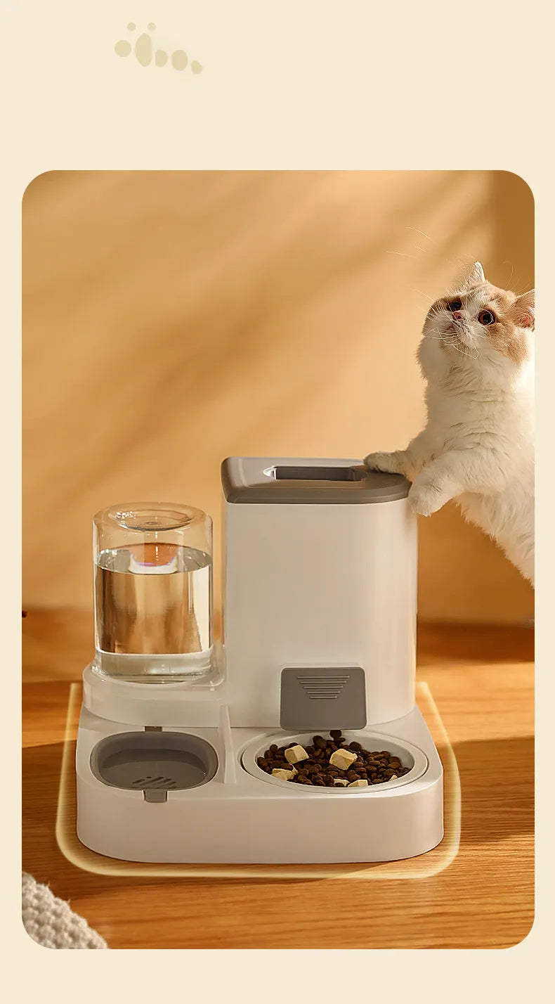 Cat automatic feeder