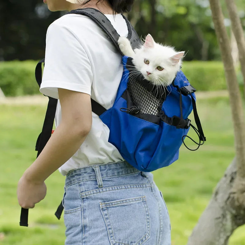 Reflective pet carrier backpack