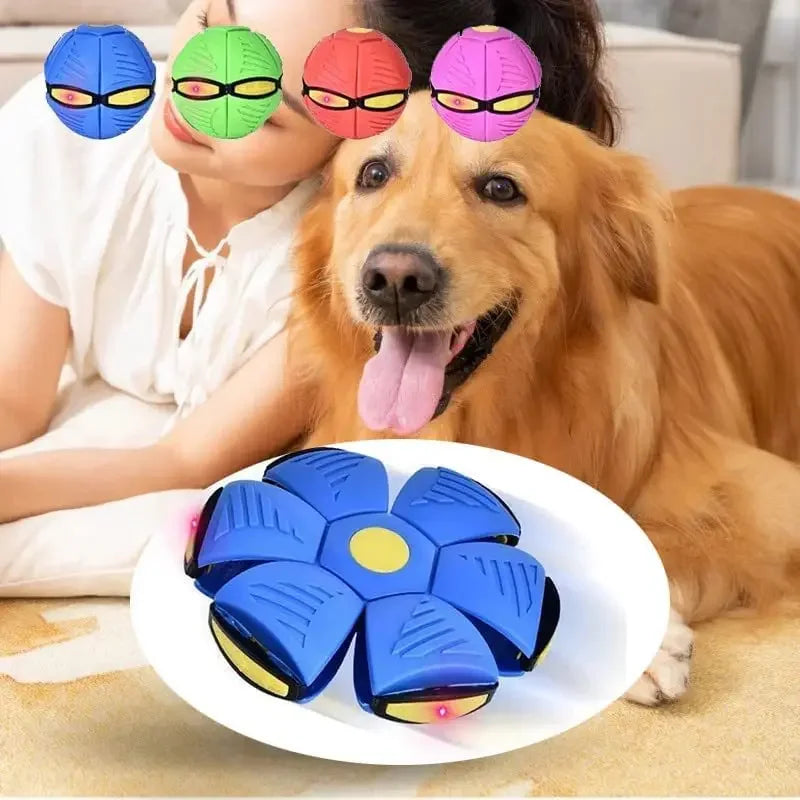 Flying UFO dog toy