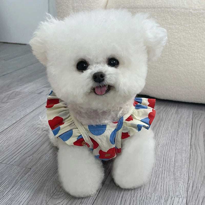 Cute pet dress