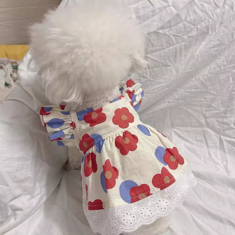 Cute pet dress