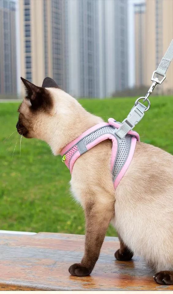 Escape Proof Cat Harness and Leash