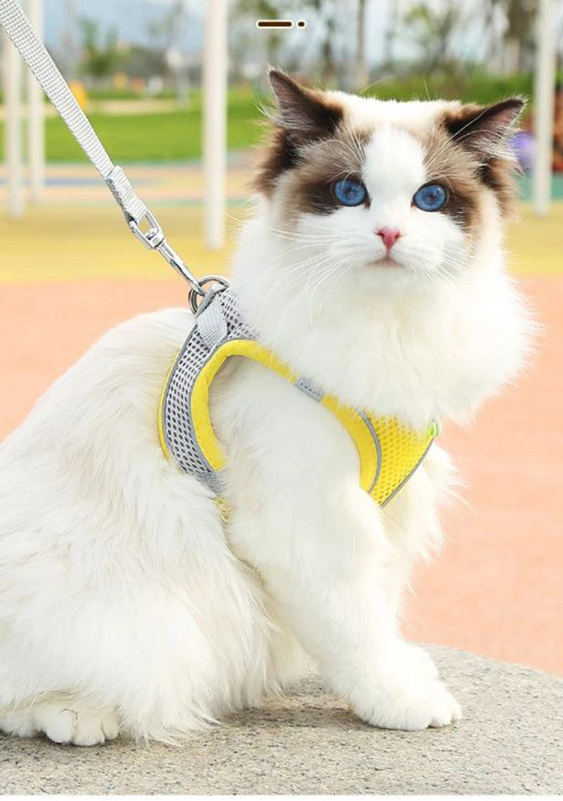 Escape Proof Cat Harness and Leash