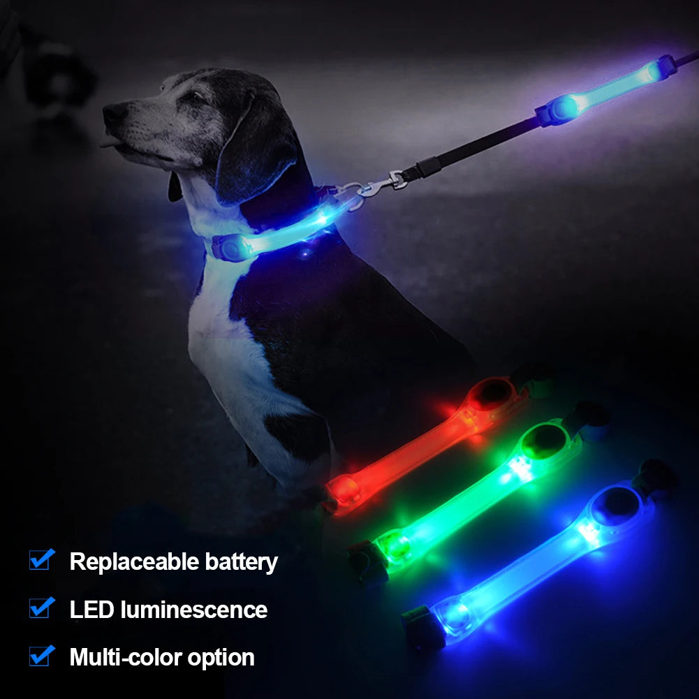 Dog LED collar + leash