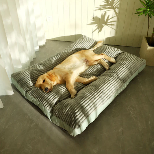 Comfy dog mat