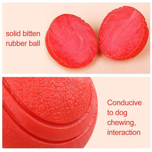 Dog Toy Rubber Ball