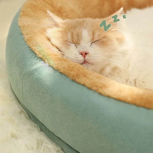 Comfy cat and dog bed