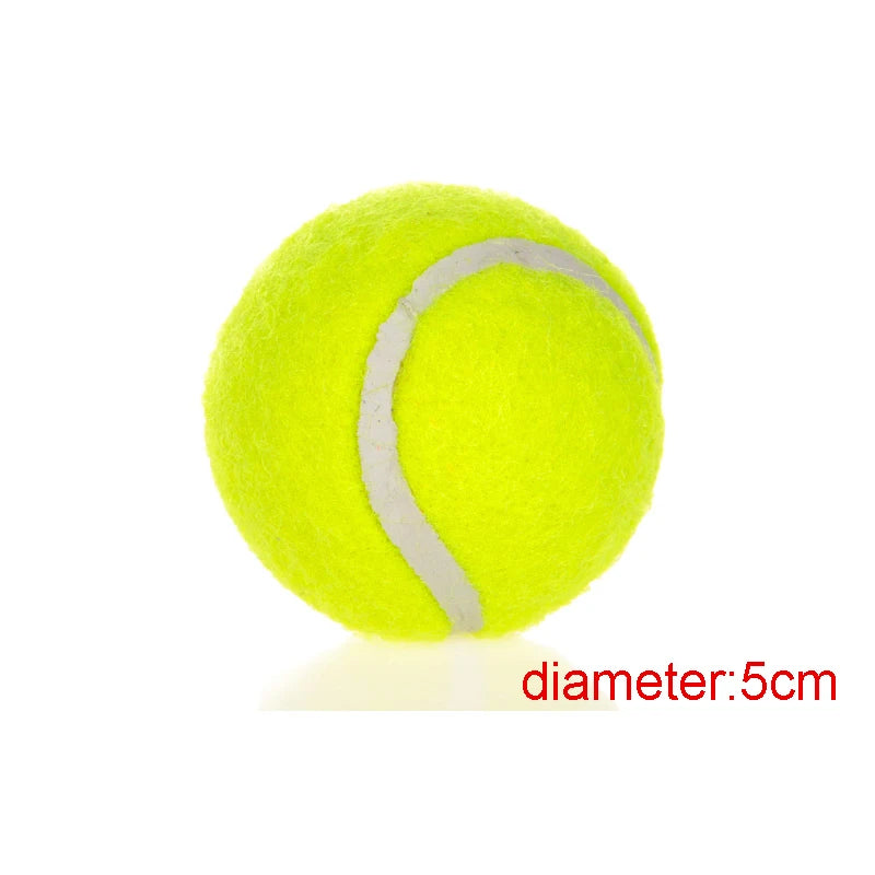 Dog toy tennis balls