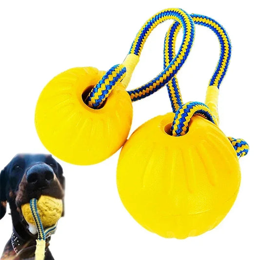 Dog Ball Toy