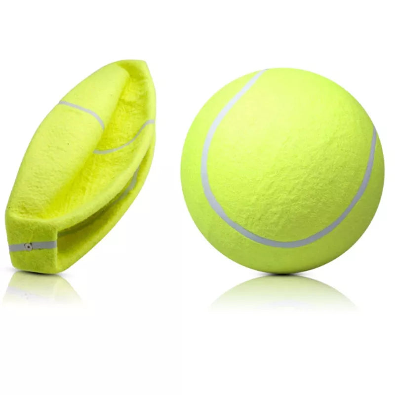 Dog tennis ball