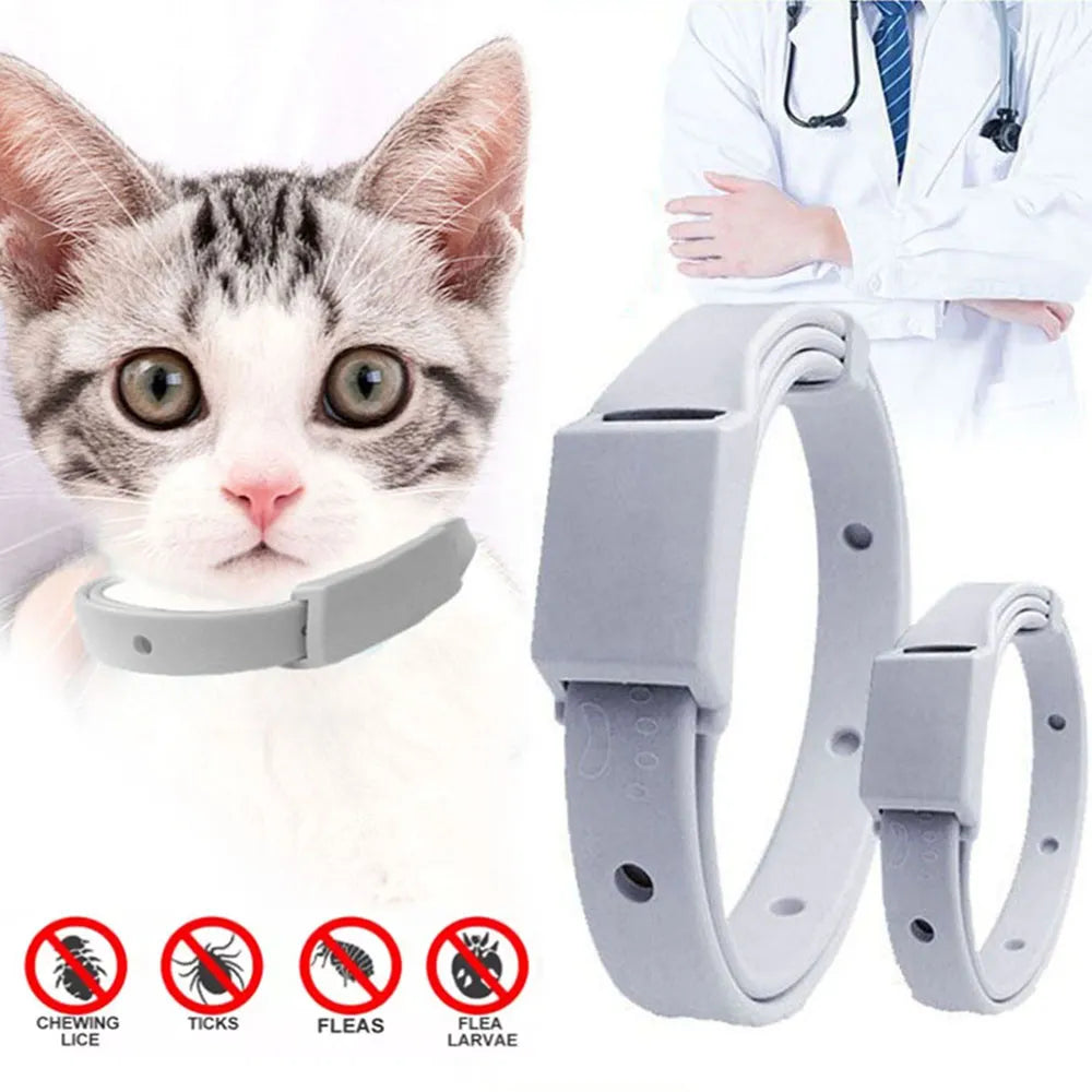 Anti Flea and Tick Collar