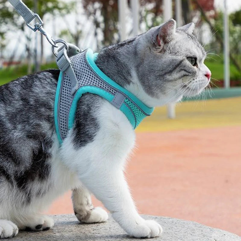 Escape Proof Cat Harness and Leash