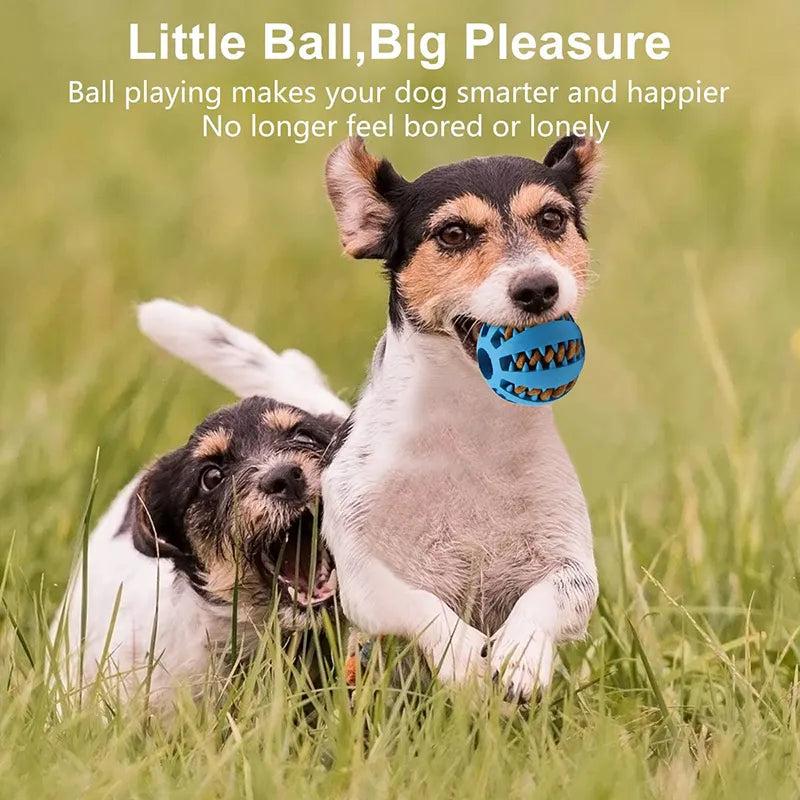 Dog treat ball