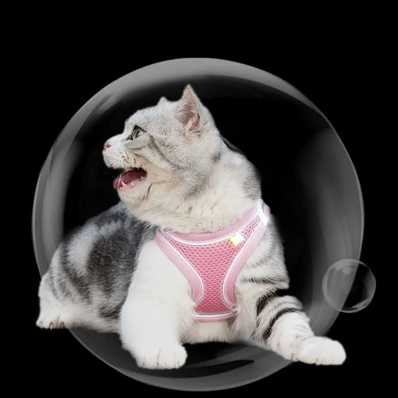 Escape Proof Cat Harness and Leash