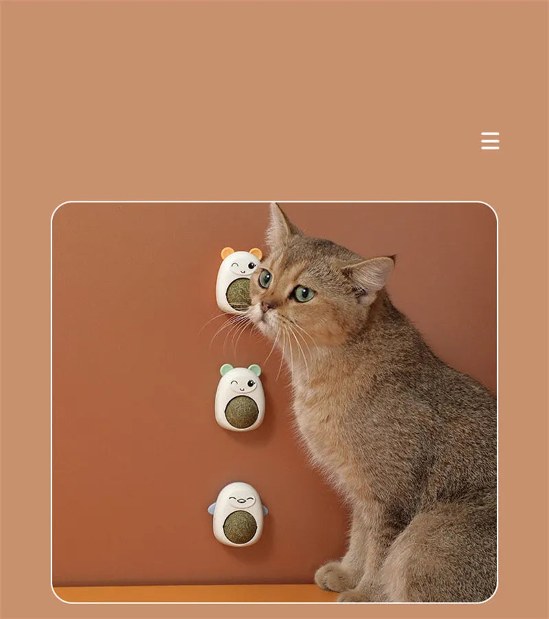 Cat toy balls