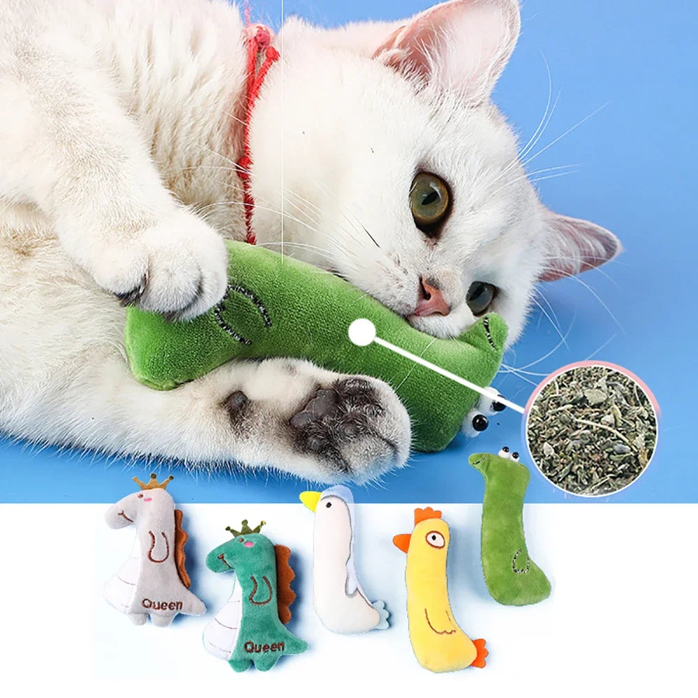 Cat toy