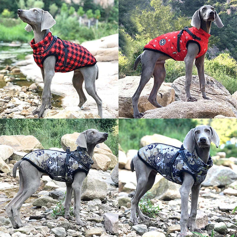 Waterproof winter dog harness