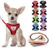 Cute colourful harness