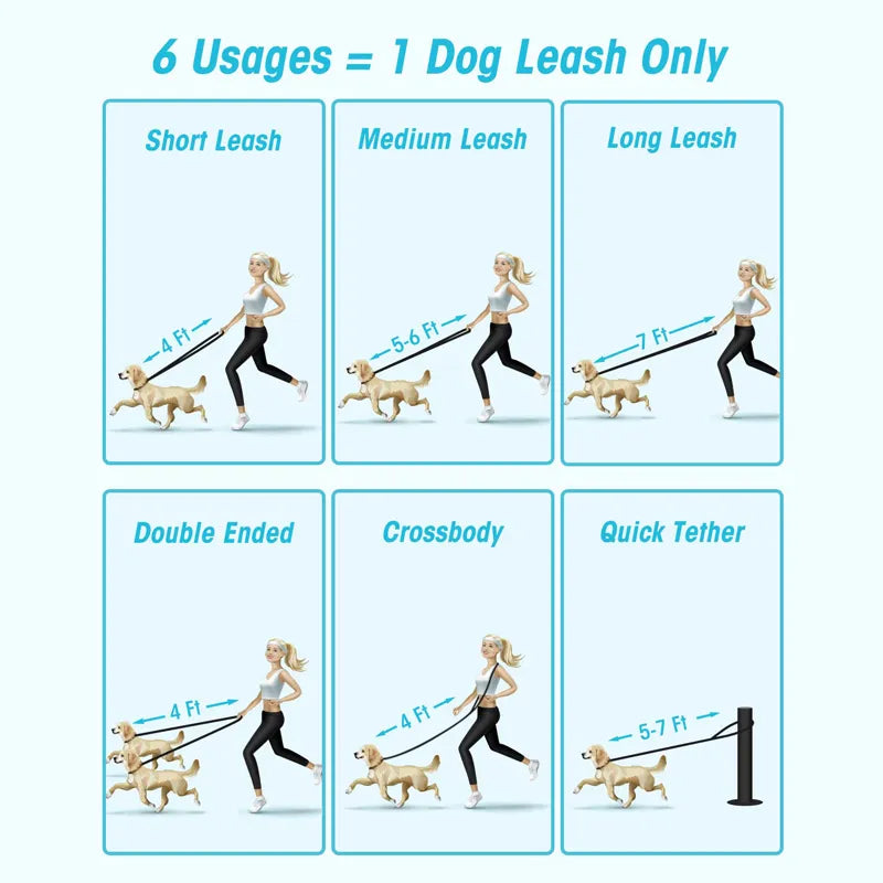 Hands Free Dog Leash