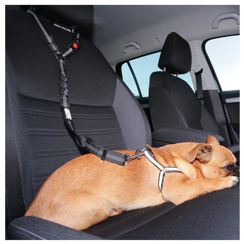 Two-in-one Dog Safety Belt