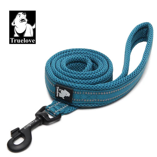 Stylish dog leash