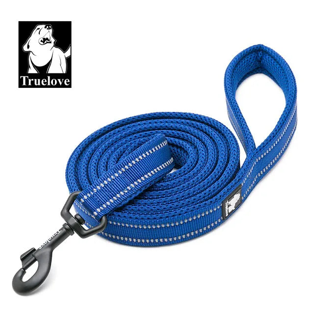 Stylish dog leash