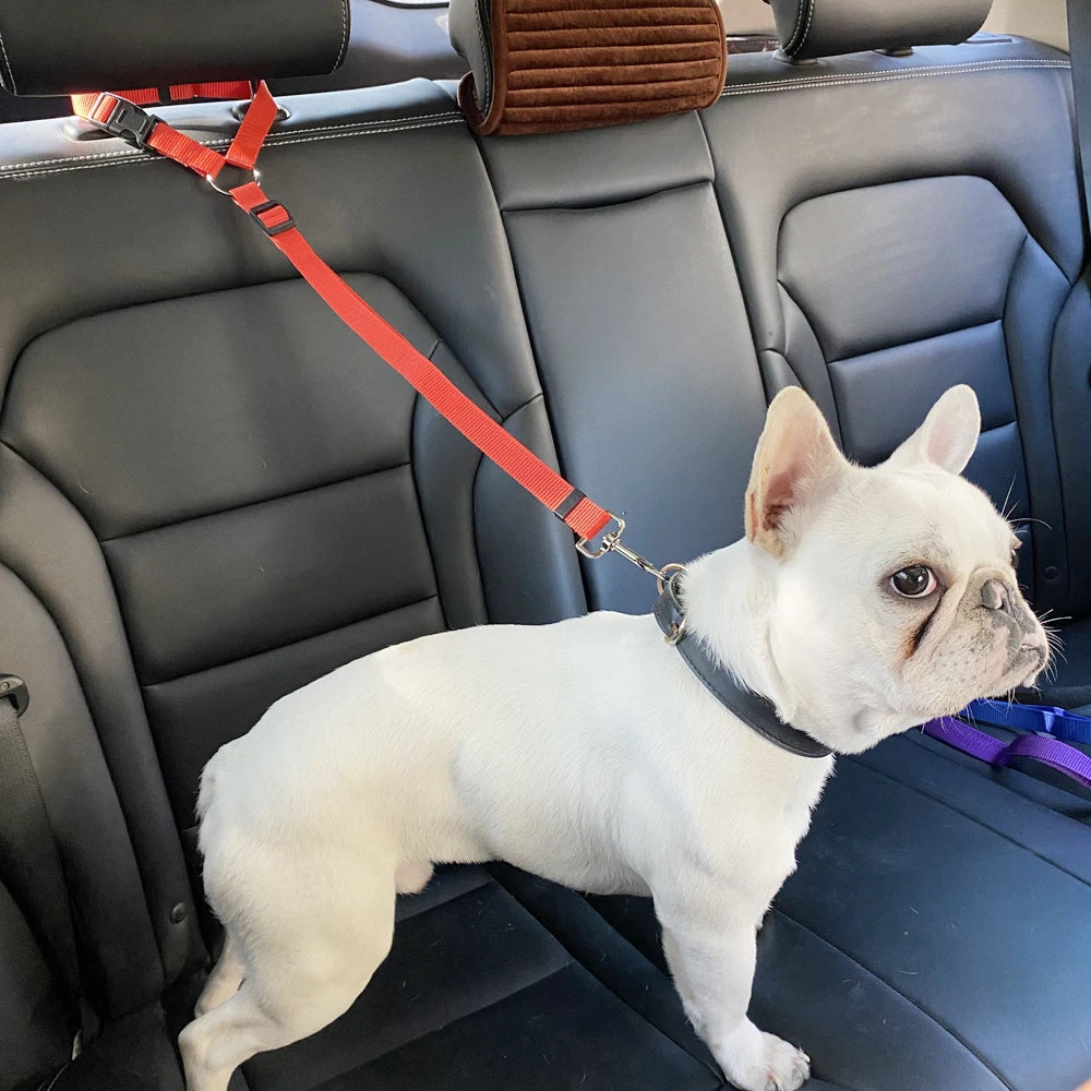 Two-in-one dog harness and car seat belt