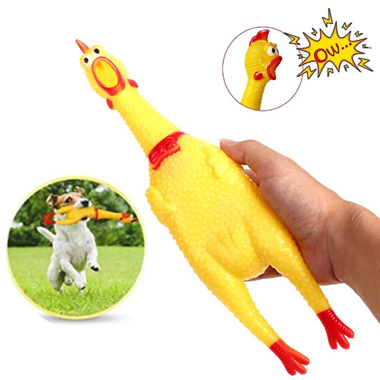 Squeaky Screaming Chicken